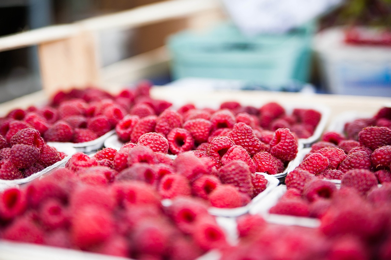 découvrez les dernières tendances du marché : analyses, insights et prévisions pour vous aider à naviguer dans un environnement économique en constante évolution.