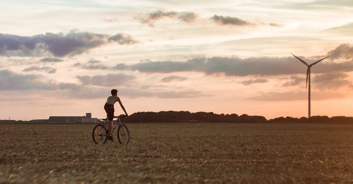 découvrez les enjeux de la durabilité, des pratiques éco-responsables et des solutions innovantes pour un avenir plus vert. engagez-vous pour un monde plus durable dès aujourd'hui !