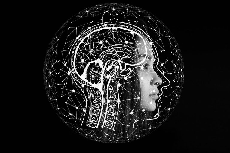 découvrez le monde fascinant de l'intelligence artificielle : ses applications, ses défis, et son impact sur notre quotidien. explorez comment cette technologie transforme des industries et façonne l'avenir.