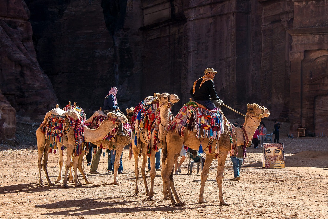 découvrez le monde fascinant du tourisme : des destinations emblématiques aux cultures uniques, en passant par des conseils pratiques pour des voyages inoubliables. explorez vos prochaines aventures avec nous !